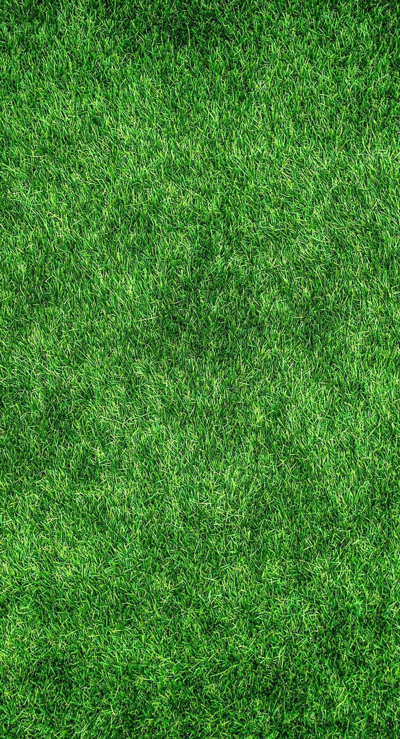 Eco-friendly Practices